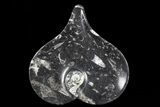 Heart Shaped Fossil Goniatite Dish #73768-1